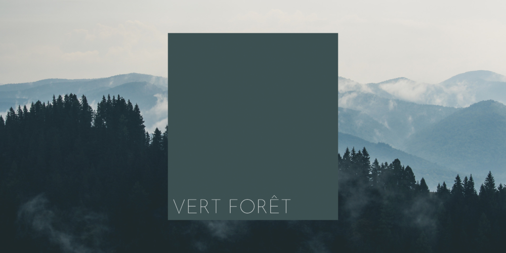 Coloris Vert Forêt